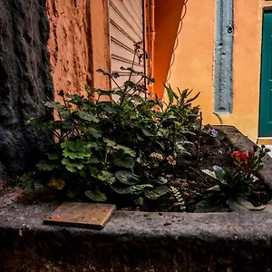 Little House Apartamento